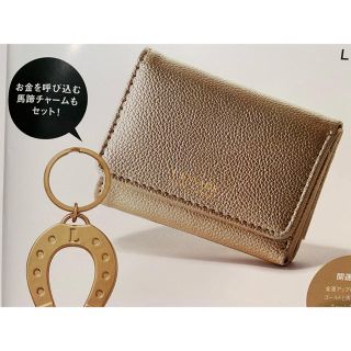 ジャーナルスタンダード(JOURNAL STANDARD)のオトナミューズ 付録(財布)