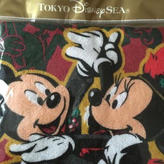 ディズニー(Disney)のTOKYO Disney Sea ウォッシュタオル⭐︎さと※プロフ確認様専用☆(タオル)