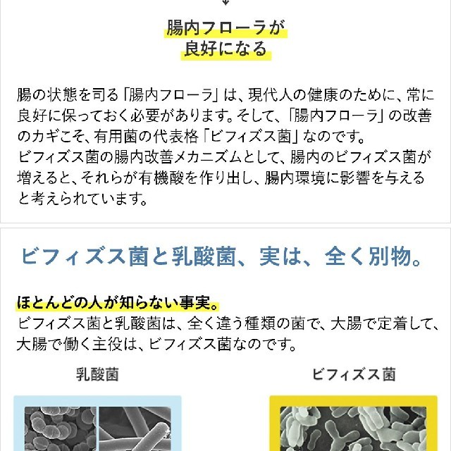 送料無料　値下げ　森下仁丹　ビィフィーナS　60袋　６０日分　2個セット最安値 3