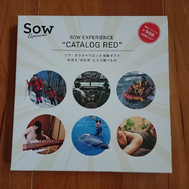 SOW　カタログ　REDその他