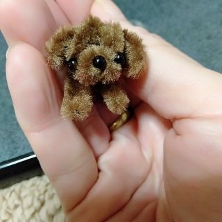 モールアート・モコ濃い茶わんこ2匹セット(ぬいぐるみ)