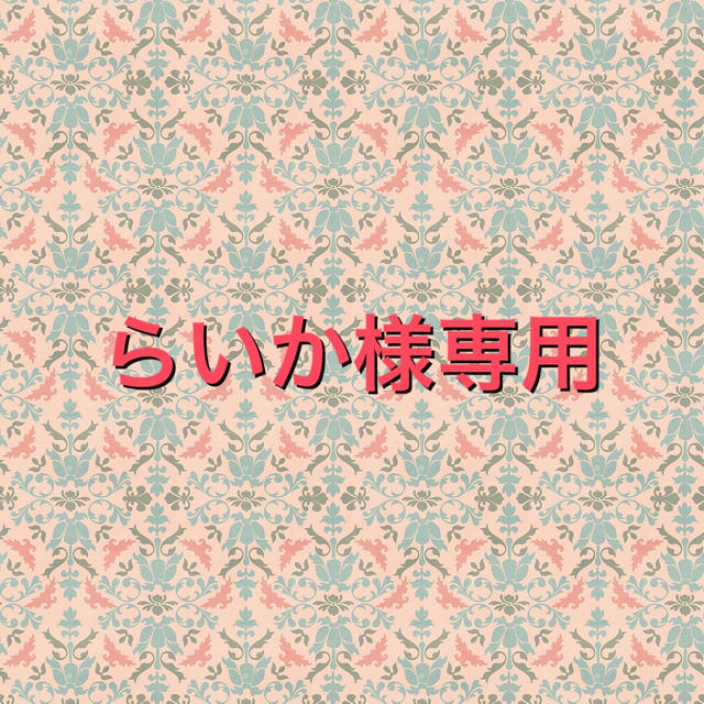 らいか様専用 その他のその他(その他)の商品写真