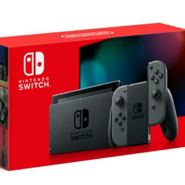 Nintendo Switch グレー 2点セット 新品未使用