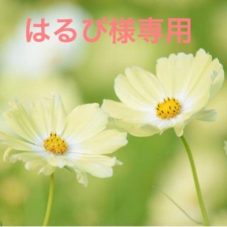 はるぴ様専用(カラージェル)