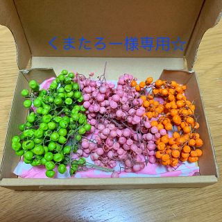 くまたろー様専用ペッパーベリー☆(ドライフラワー)