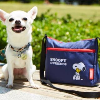 スヌーピー(SNOOPY)のNEO様専用　いぬのきもち付録　スヌーピーお散歩ショルダーバッグ(犬)