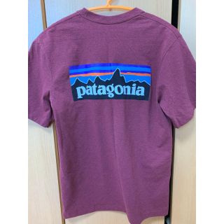 パタゴニア(patagonia)のパタゴニアTシャツ(Tシャツ(半袖/袖なし))