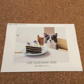 タカラジマシャ(宝島社)の猫カレンダー2020(カレンダー/スケジュール)