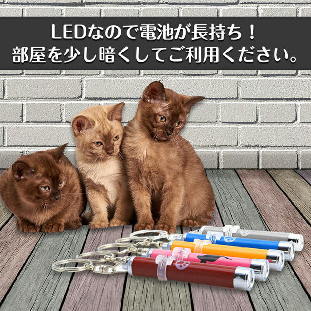 猫 LED ポインター ブルー ライト 点灯 運動 ストレス発散 光 その他のペット用品(猫)の商品写真