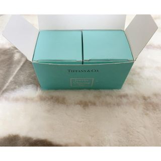 ティファニー(Tiffany & Co.)のTIFFANY&CO.（クリーンキット）(その他)