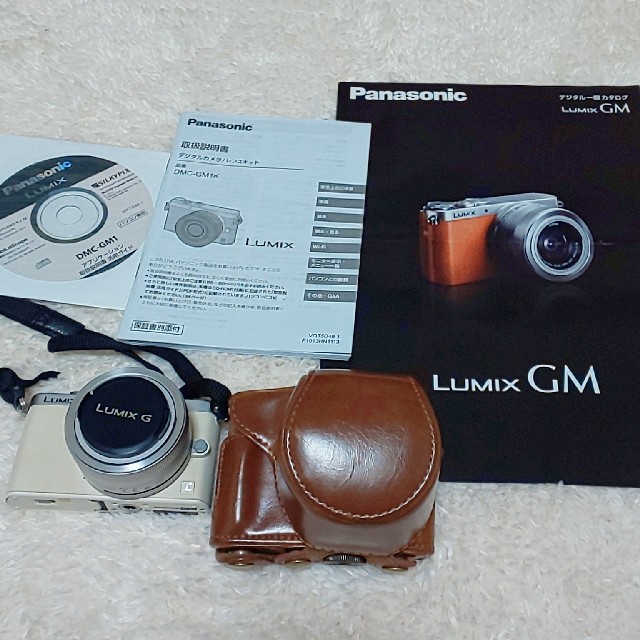 LUMIX  DMC-GM1K