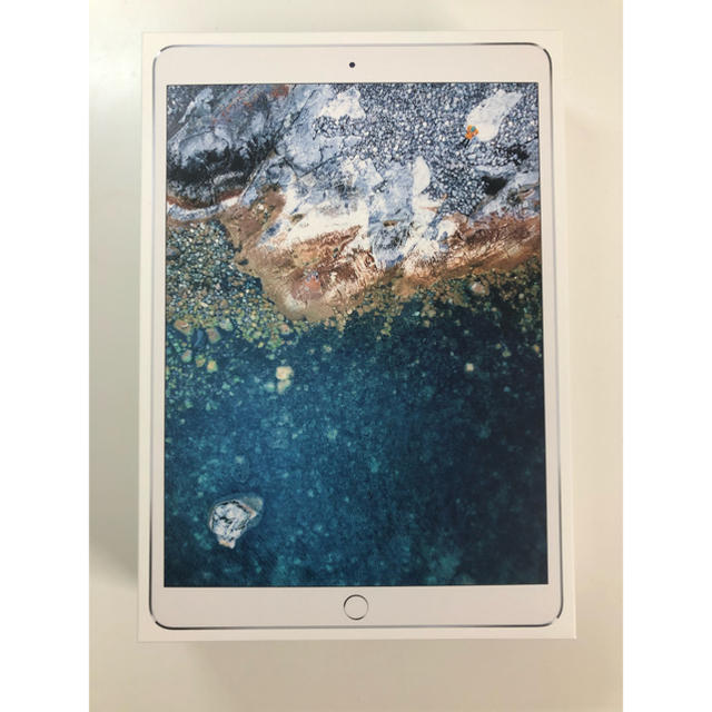 iPad Pro (10.5インチ) + Apple Pencil 【第1位獲得！】 28175円引き