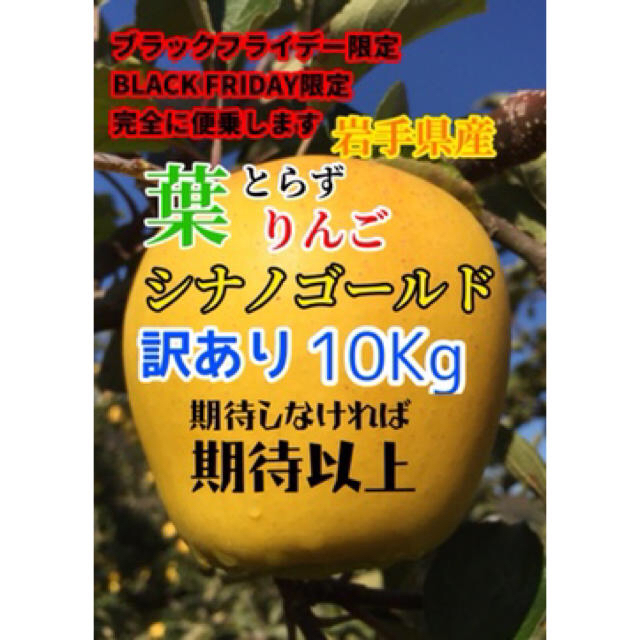 【送料込】訳あり葉とらずりんご シナノゴールド 約10kg 36〜39個入り 食品/飲料/酒の食品(フルーツ)の商品写真