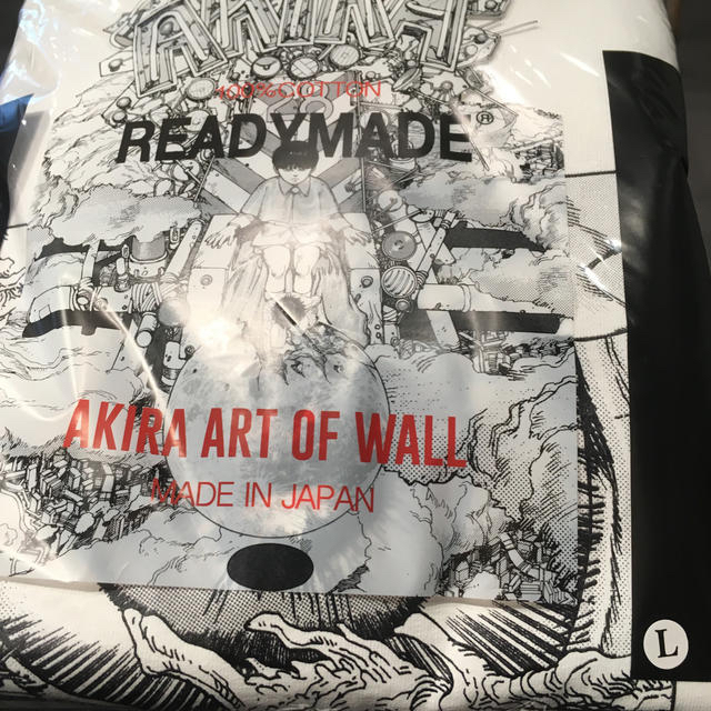 AKIRA READYMADE -EYE- ART OF WALL UNUSED