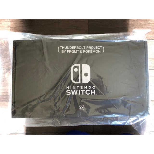 スイッチ　Nintendo Switch フラグメント  任天堂