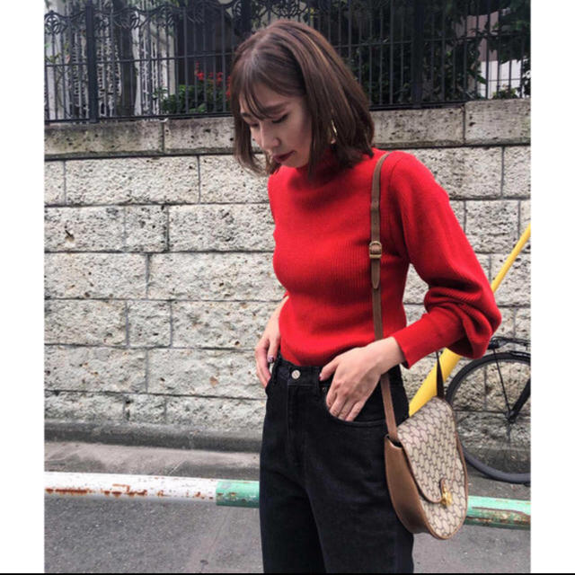 Ameri VINTAGE(アメリヴィンテージ)のアメリヴィンテージ　TURTLE PUFF SLEEVE KNIT 完売 レディースのトップス(ニット/セーター)の商品写真