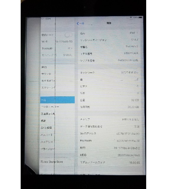 iPad mini2 32G cellularスペースグレイ ジャンク