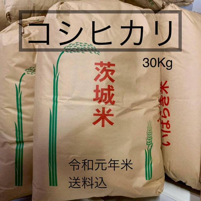 【11月限定価格】送料込 コシヒカリ100% 30Kg 令和元年 茨城県 玄米30キロ