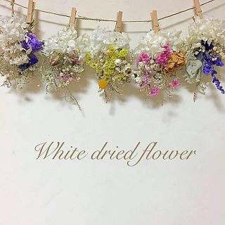 White アナベル ガーランド ドライフラワー(ドライフラワー)