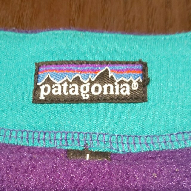 patagonia(パタゴニア)のPatagonia フリーストレーナー メンズのトップス(スウェット)の商品写真