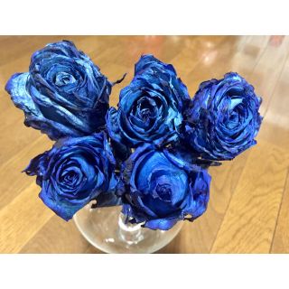 お花屋さんが作った深海ブルーの薔薇  5本set(ドライフラワー)