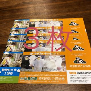 専用です！！成田ゆめ牧場 無料招待券３枚セット(動物園)