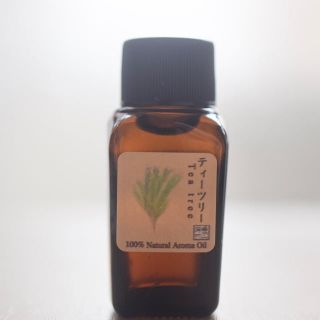 エッセンシャルオイル　ティーツリー　10ml(エッセンシャルオイル（精油）)