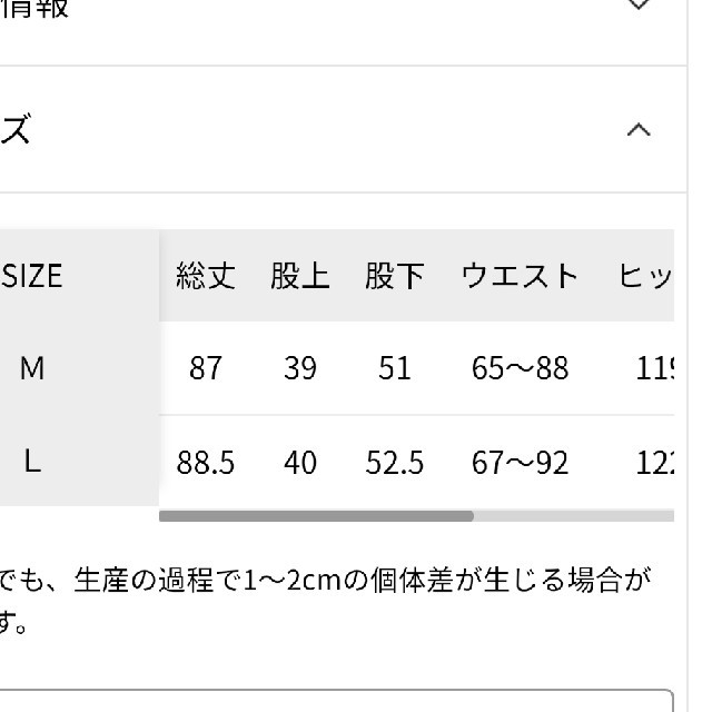 LEPSIM
アシメタックスカーチョ