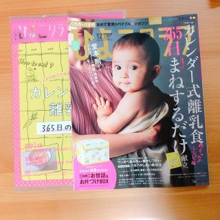 ひよこクラブ １２月号 (結婚/出産/子育て)