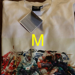 ザノースフェイス(THE NORTH FACE)のノースフェイス　アンタークティカ Tシャツ　M(Tシャツ/カットソー(半袖/袖なし))