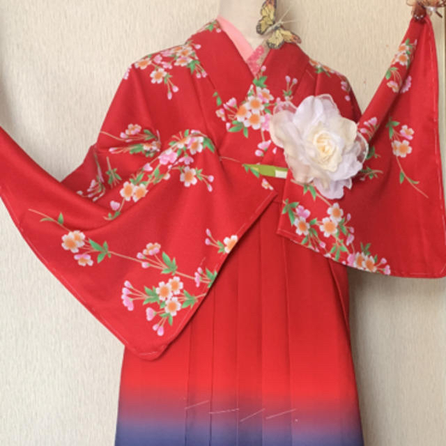 レディース 身長154桜柄洗える可愛い袴セット 卒業式など グラデーション袴 着物 身長 レディース 身長154桜柄洗える可愛い袴セット 卒業式など グラデーション袴 着物 身長