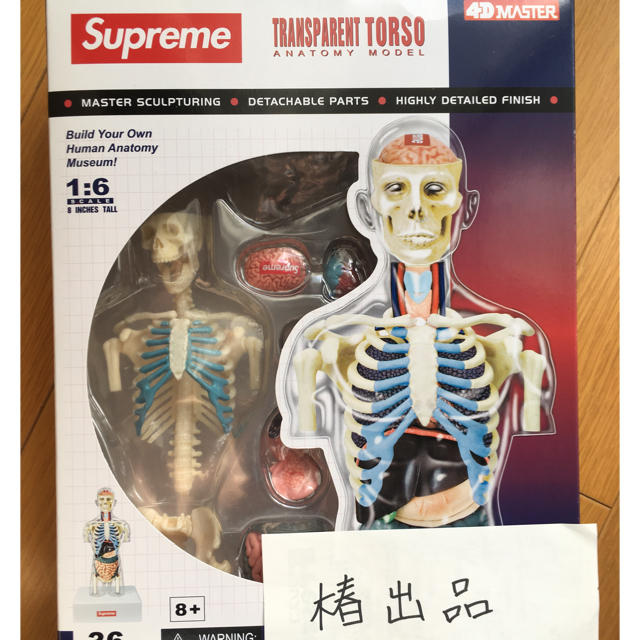 Supreme シュプリーム 人体模型 transparent torso