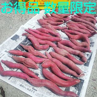 佐川農園 B品Sサイズメイン☆鳴門金時☆さつまいも☆約5㎏1999円（送料無料）(野菜)