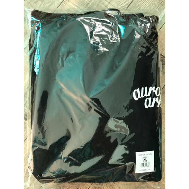 aurora ark Hoodie BLACK XL