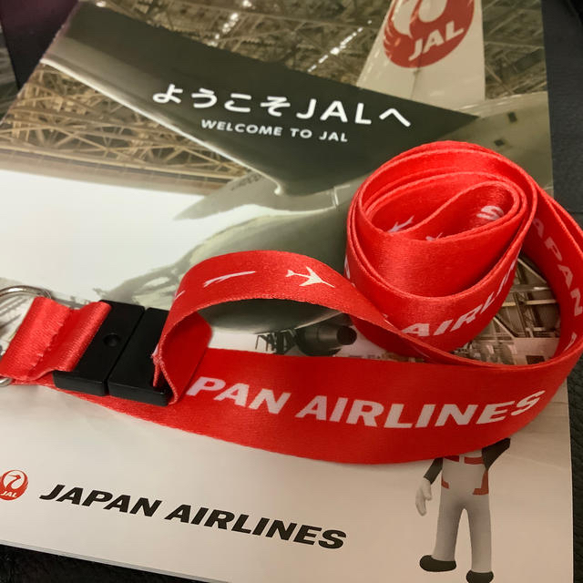 JAL(日本航空)(ジャル(ニホンコウクウ))のJAL ANA 非売品 キーホルダーと、ネックストラップ エンタメ/ホビーのテーブルゲーム/ホビー(航空機)の商品写真