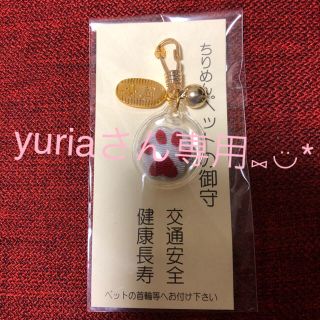 yuriaさん専用(犬)