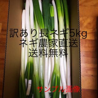 訳あり長ネギ　5kg(野菜)