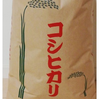 【コシヒカリ】精米10kg
格安訳あり令和元年産新米 (米/穀物)