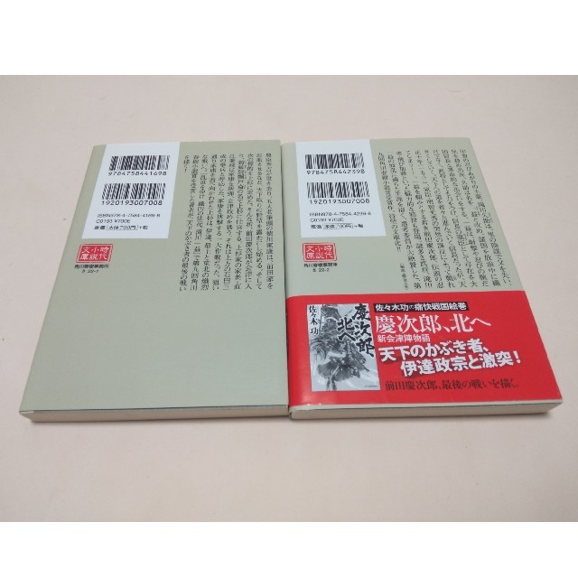 佐々木功　２冊セット【慶次郎北へ 】【乱世をゆけ】 エンタメ/ホビーの本(文学/小説)の商品写真