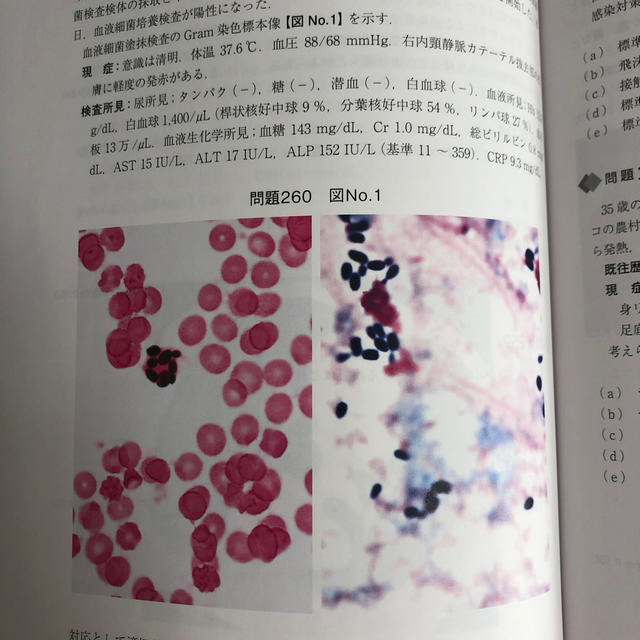 日本内科学会 セルフトレーニング問題集セット 総合内科専門医対策の