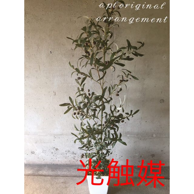 光触媒 人工観葉植物 特大オリーブ15555