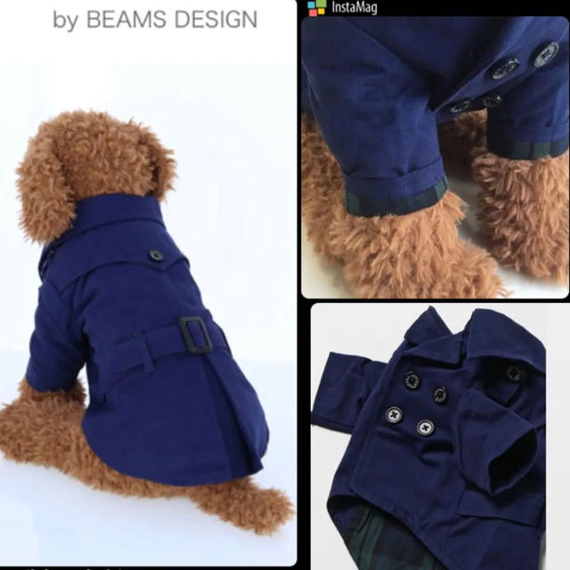 BEAMS(ビームス)のBEAMS トレンチコート　Lサイズ その他のペット用品(犬)の商品写真