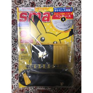 タカラジマシャ(宝島社)のsmart ピカチュウレザーグッズ(ファッション)