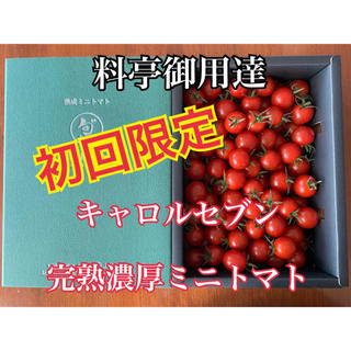 熊本県 完熟濃厚ミニトマト 500g ☆キャロルセブン☆ 農家直送(野菜)
