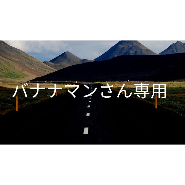 バナナマンさん専用 kresnainvestments.com