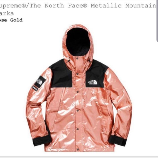 supreme/the north face metallic mountain