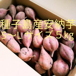 種子島産安納芋(野菜)