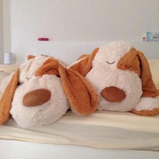 ニトリ 人形ぬいぐるみ ぶち犬タロージロー 太田翔平さん愛用