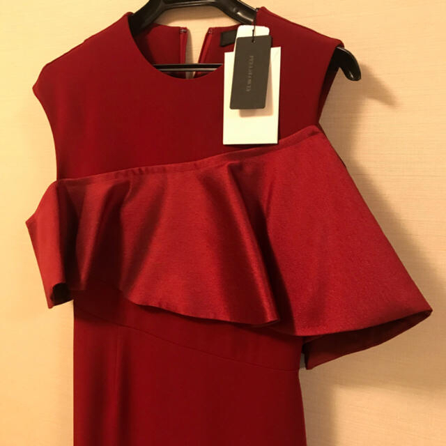 LE CIEL BLEU(ルシェルブルー)のPEELSLOWLY  ドレス　　未使用 レディースのワンピース(ひざ丈ワンピース)の商品写真