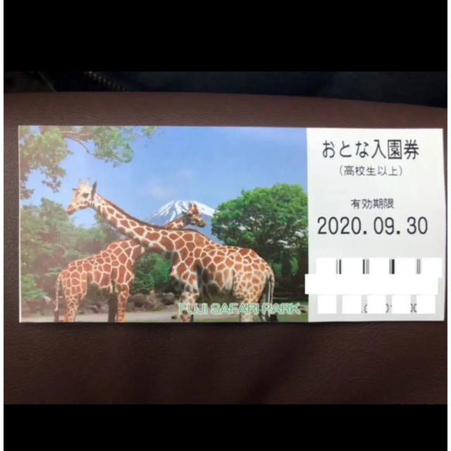 富士サファリパーク 入園券 チケットの施設利用券(遊園地/テーマパーク)の商品写真